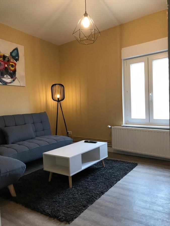 Confort - Nancy Centre - Chambre - Salle De Sport - 45 M2 Ngoại thất bức ảnh
